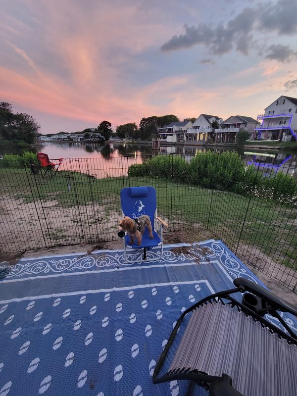 FRISCO Dog & Small Pet Wire Exercise Pen with StepThrough Door, Black