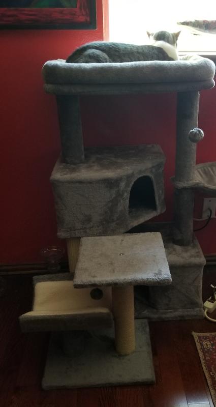 Two by Two in front of larger tree as a step-up.