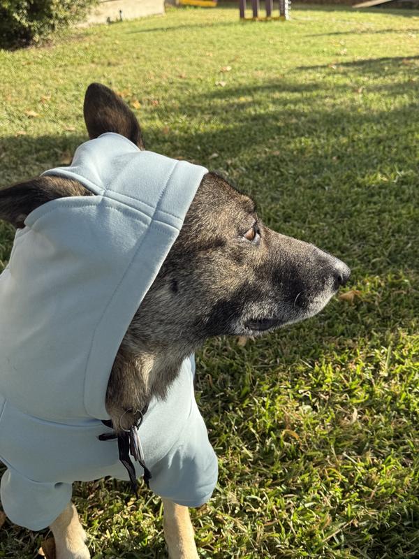 Hood with ear cut out