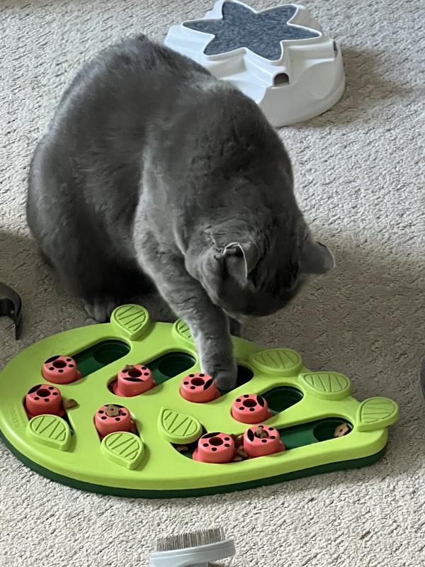 NINA OTTOSSON BY OUTWARD HOUND Melon Madness Puzzle & Play Cat Toy