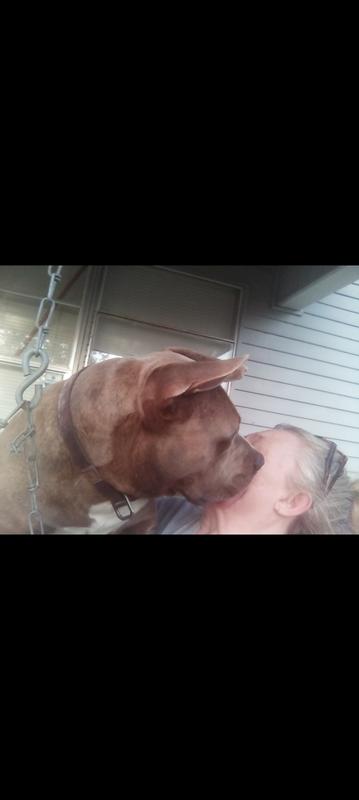My baby boy things he weighs 10 pounds instead of 90 he loves to get in swing with me