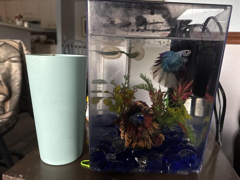 Definitely keeps it clean