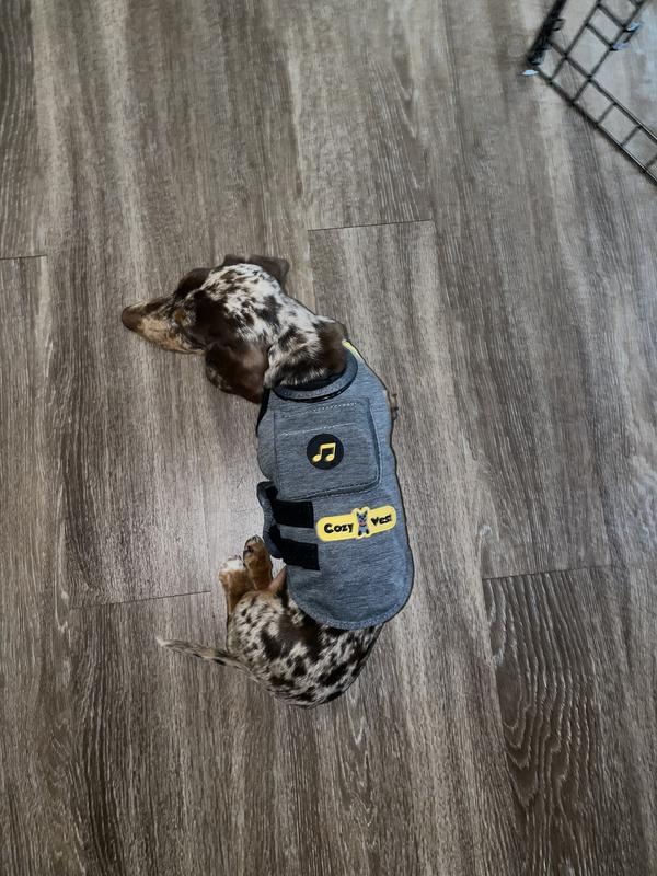 IFCOW Dog Anxiety Jacket Calming Coat Thunder Dog Wrap For Anxiety Stress Relief