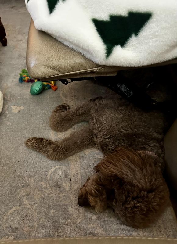 Charlie Rose resting after 1 dose