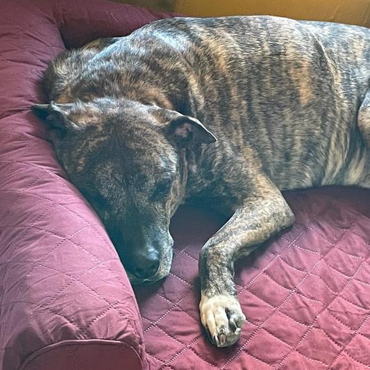 Super cozy and comfortable.