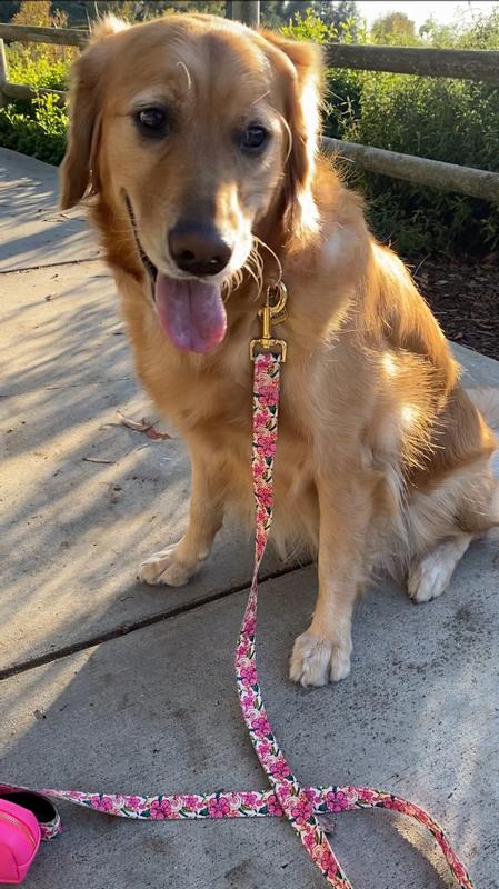 The pop of color you must have!!!