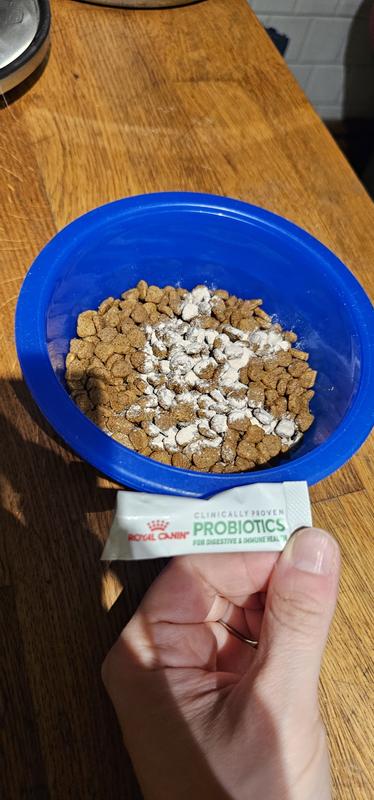 Give it a good shake and each kibble is coated