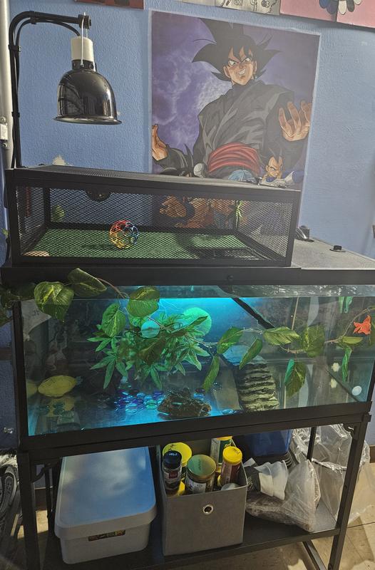 EXO TERRA Lamp Holder Bracket for Reptiles