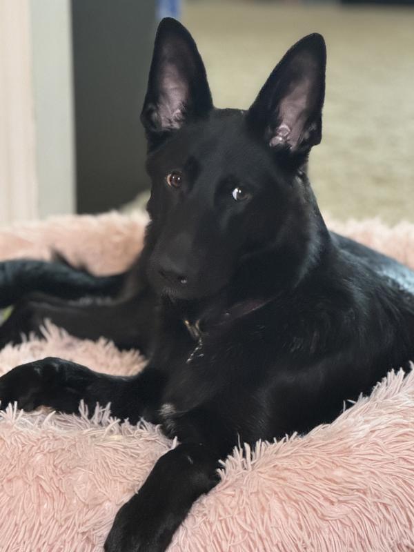 Irritated about the bath but prettier because of it.