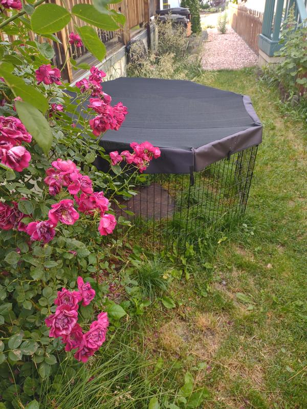 Oops, one fastener is undone, but there's fasteners around the entire cover, including at the door of the pen.