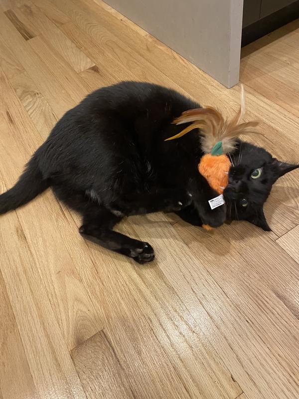 KONG Refillable Feather Top Carrot Catnip Cat Toy