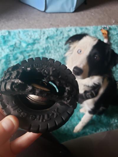 Discontinued - PET QWERKS Jingle X-Tire Ball Dog Toy, 5-in - Chewy.com