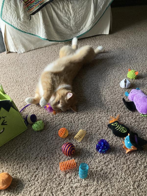 He loved the whole Boo Basket!