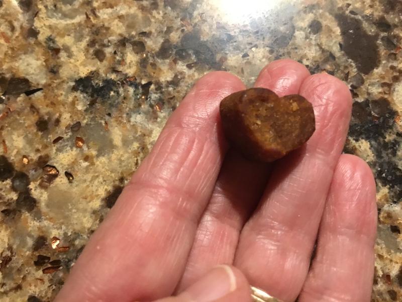 Daisy is Definitely a Daddy’s Girl!