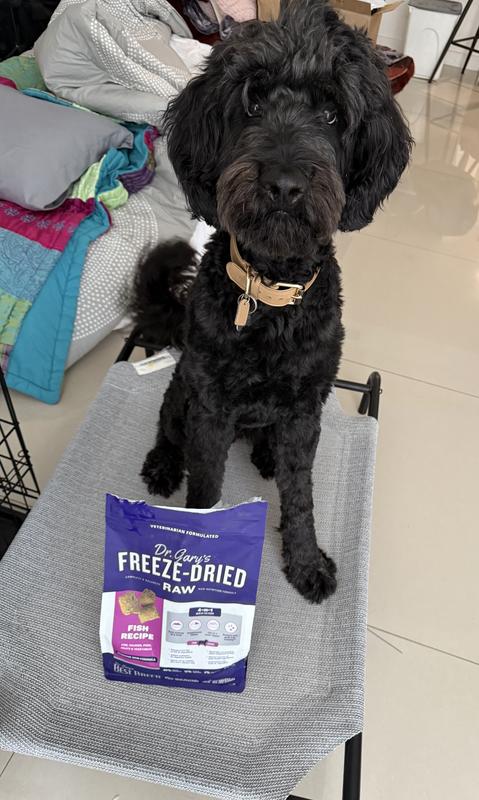 Teddy loves Dr. Gary's !