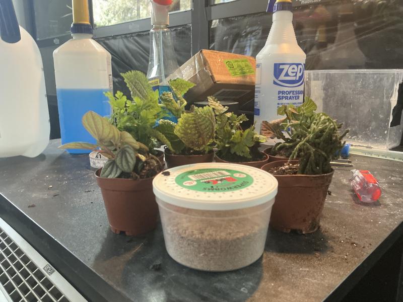 Side view with super worm container for size reference