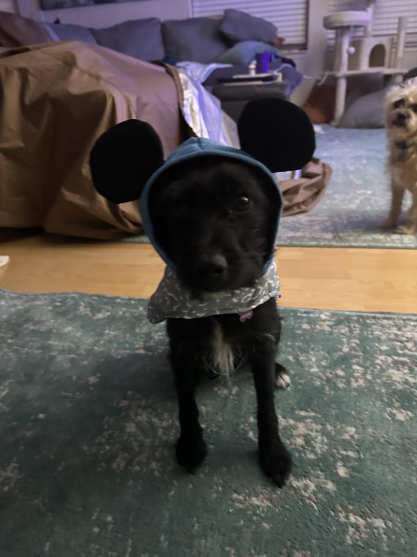 Disney Lightweight Mickey Mouse Quilted Puffer Dog & Cat Coat