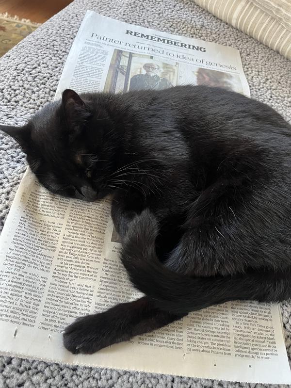 She loves lying on the Sunday paper before taking her afternoon nap in the warm sheets from the dryer.