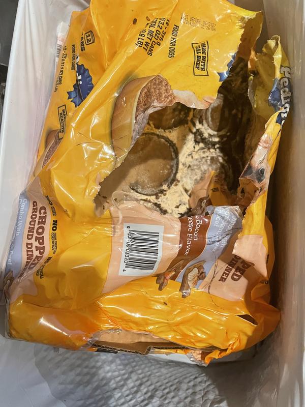 Dented cans infested with bugs from opened can.