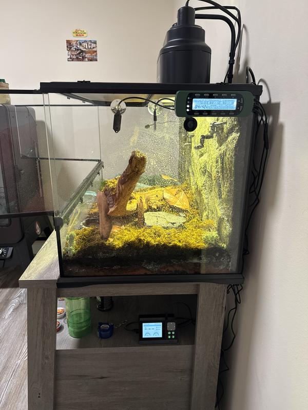 Mission accomplished