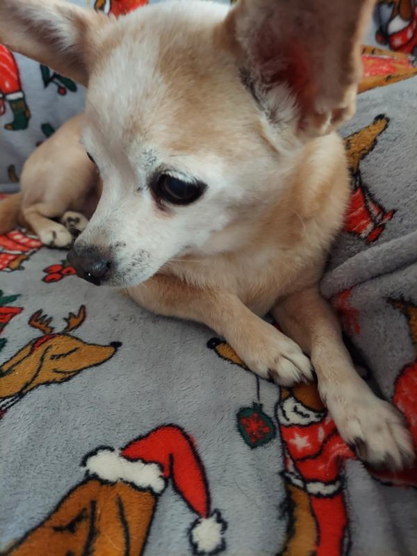 This is Joy. She has a challenging time eating.