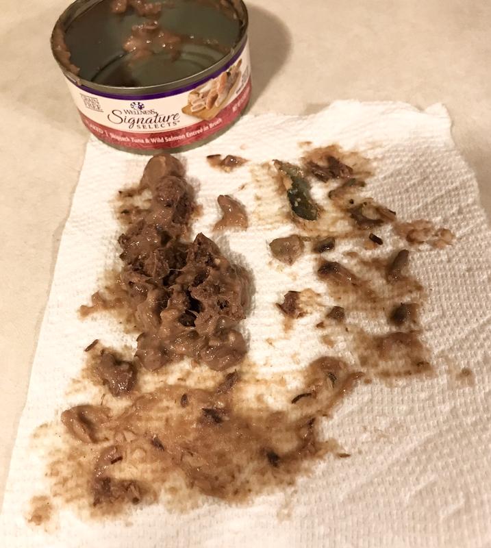 Cat won’t eat this dark scaled food