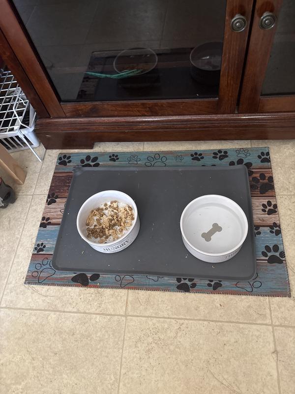 best cat litter box no mess Neakasa M1 Self-Cleaning Cat Litter Box
