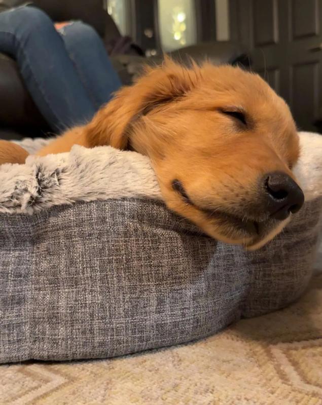 Sleeping like a baby, oh wait I am a baby. 🤣