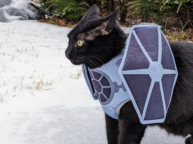 Star wars 2025 cat costumes