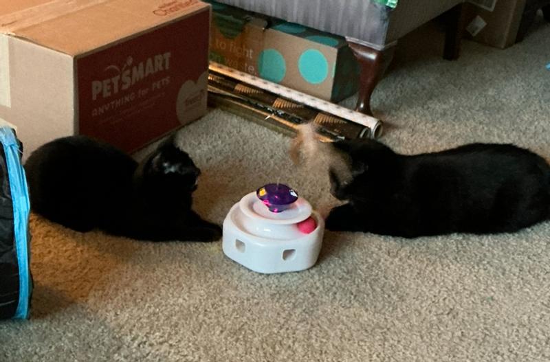 This is 1-hour in and they’re still memorized