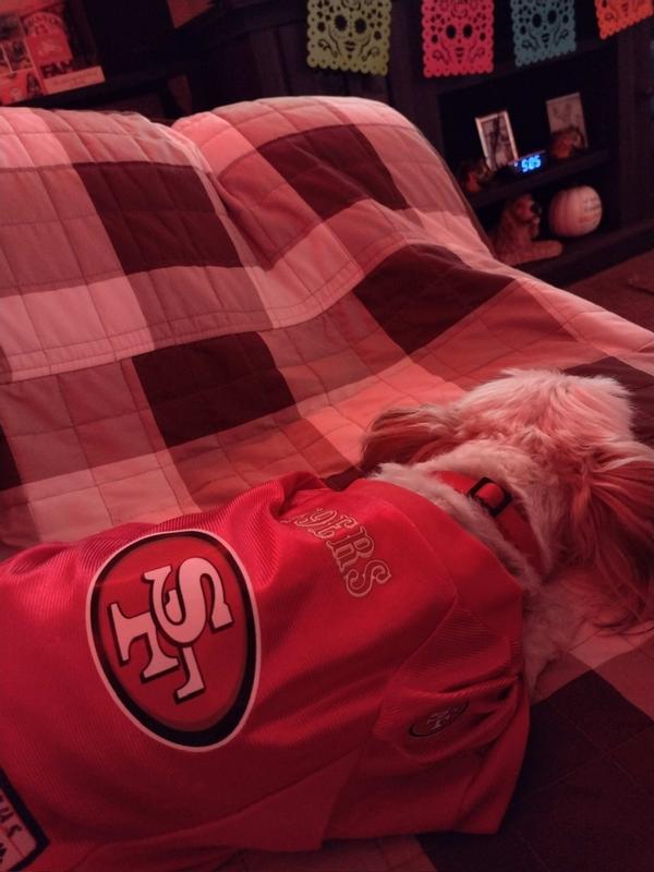 San Francisco 49ers Big Dog Stretch Jersey