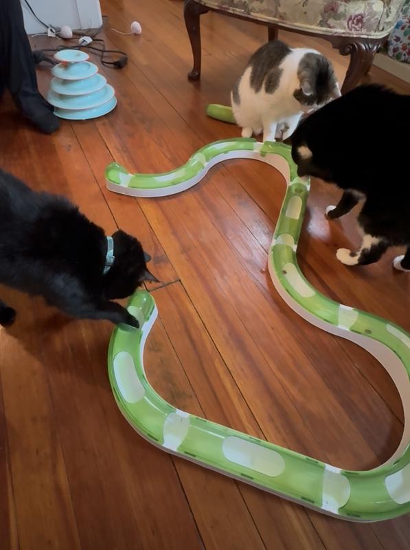 great for enrichment