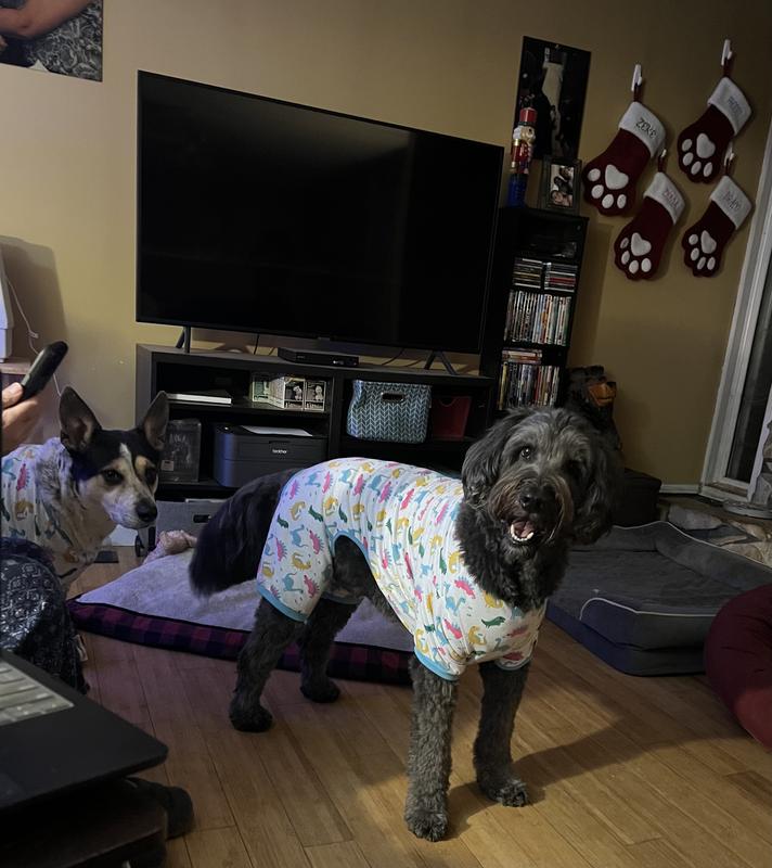 the only one who actually posed nicely for the picture! AWW