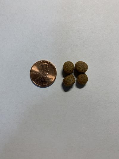 Small bites are really small