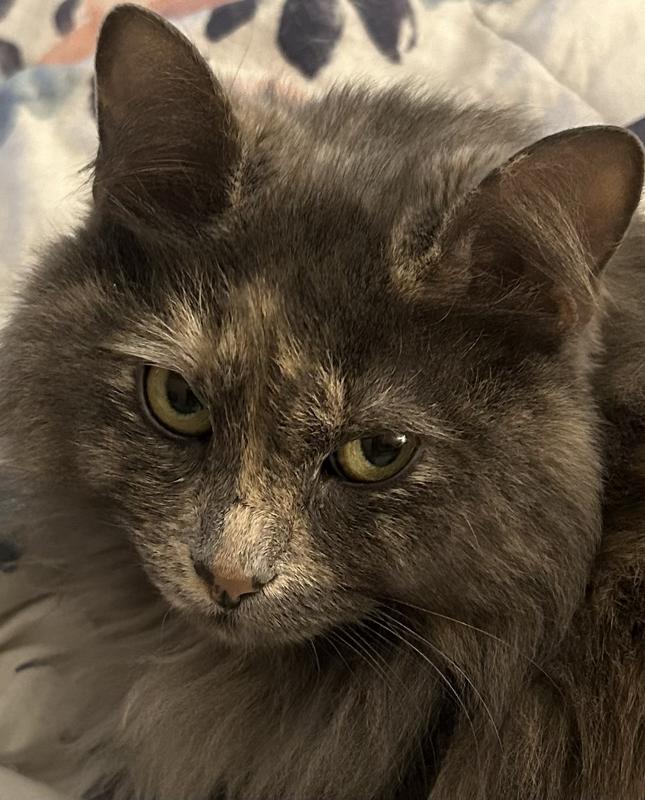 This is her happy face. She loves it you can tell!