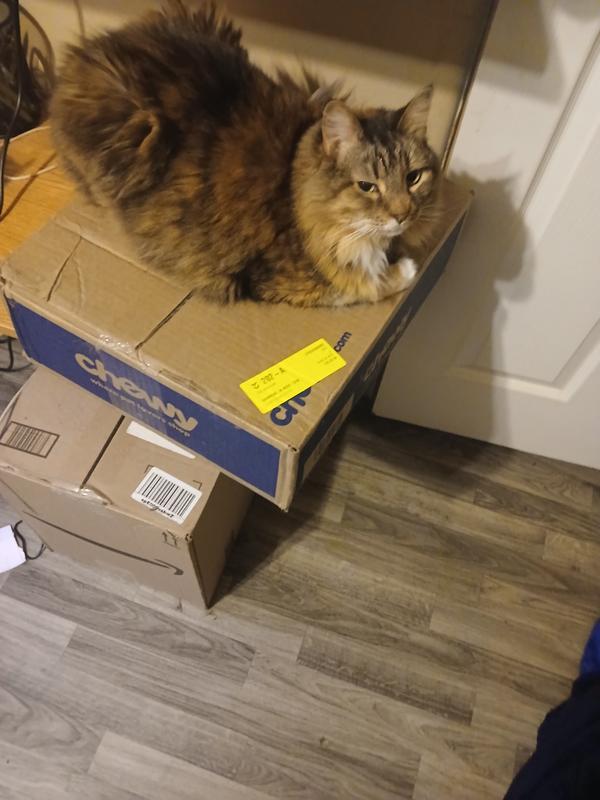 My Cats Love The Food It warms Them Up In Winter time To.