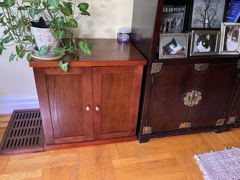 Cat furniture in living room