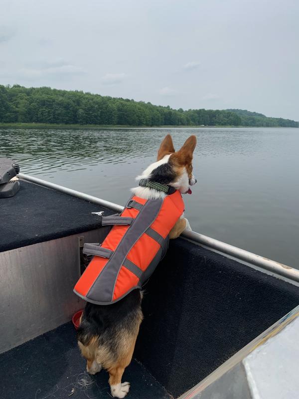 Top Paw Dog Life Jacket Yellow - Size Xtra Small - 5-15 lbs