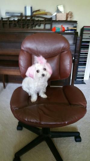 Toye Starr with her pink ears
