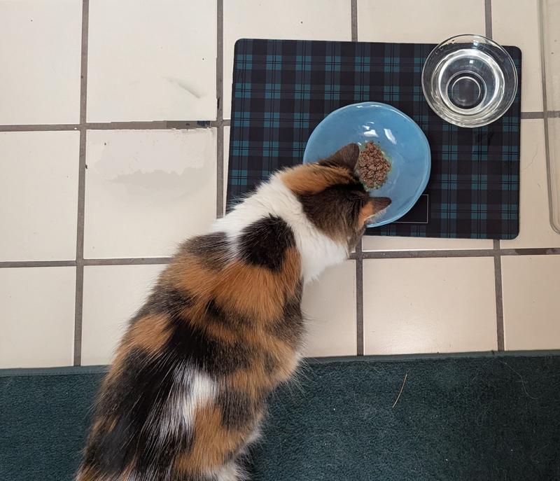 Taking my first bites