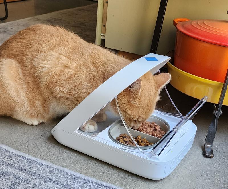 Microchip activated hot sale food bowl