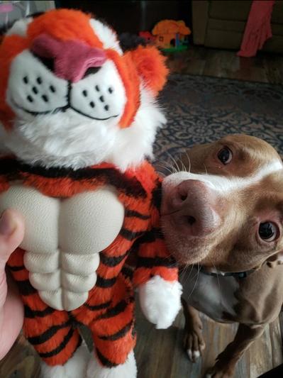Hyper Pet™ Tough Plush 10 Tiger Dog Toy With 2 Squeakers
