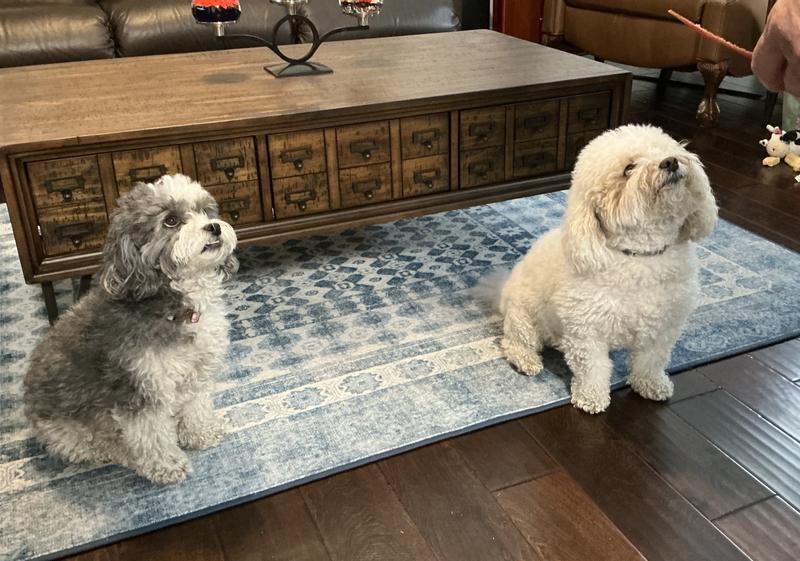 C’mon, Daddy, we’re waiting!