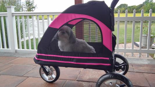 Rosewood roadster best sale pet stroller