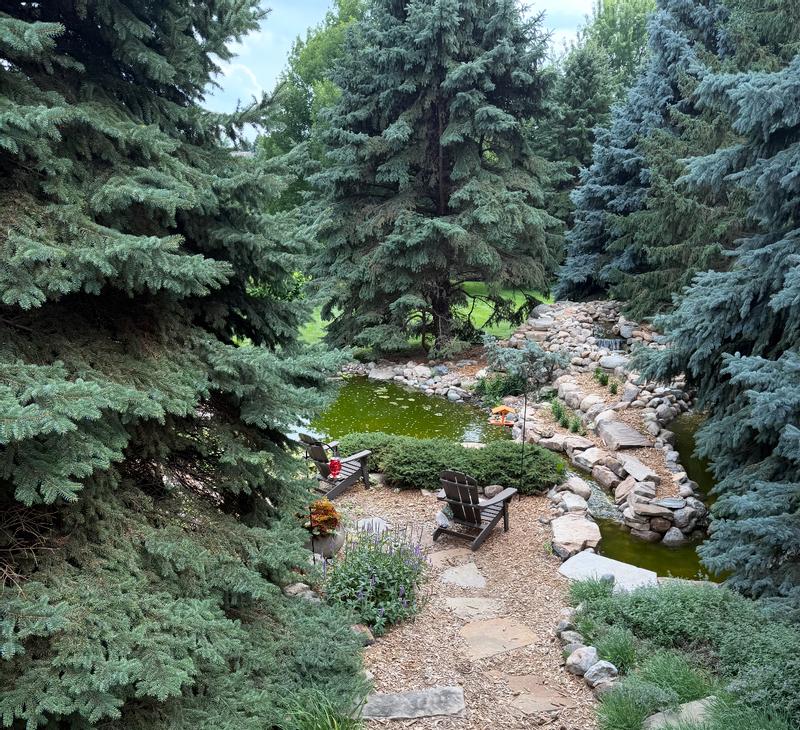 Turns rural Watter green in couple hours