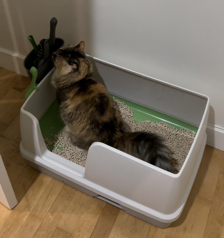 Tidy Cats Breeze Extra Large Litter Box