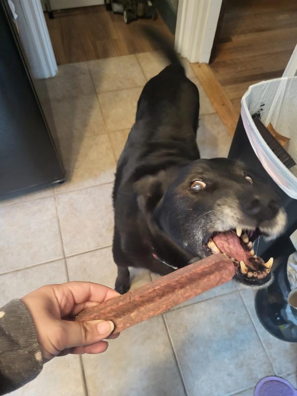 Old dog giving puppy energy for this delicious chew!