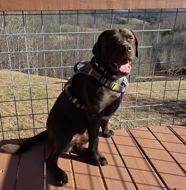 Ready to hike with mom