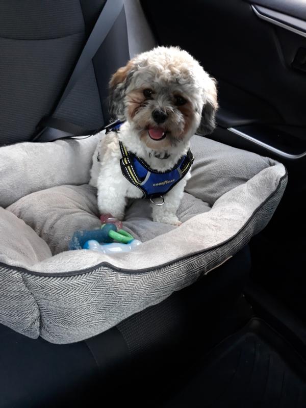 “Deley Advanced calming chews taste good to me!”