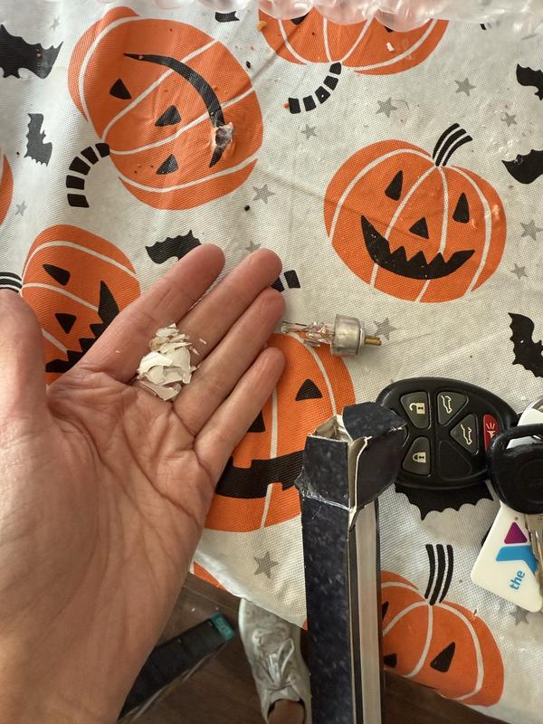 Shattered pieces of light bulb in my hand